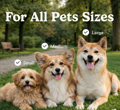 Tiny Brush, Big Difference For Your Pet’s Oral Health