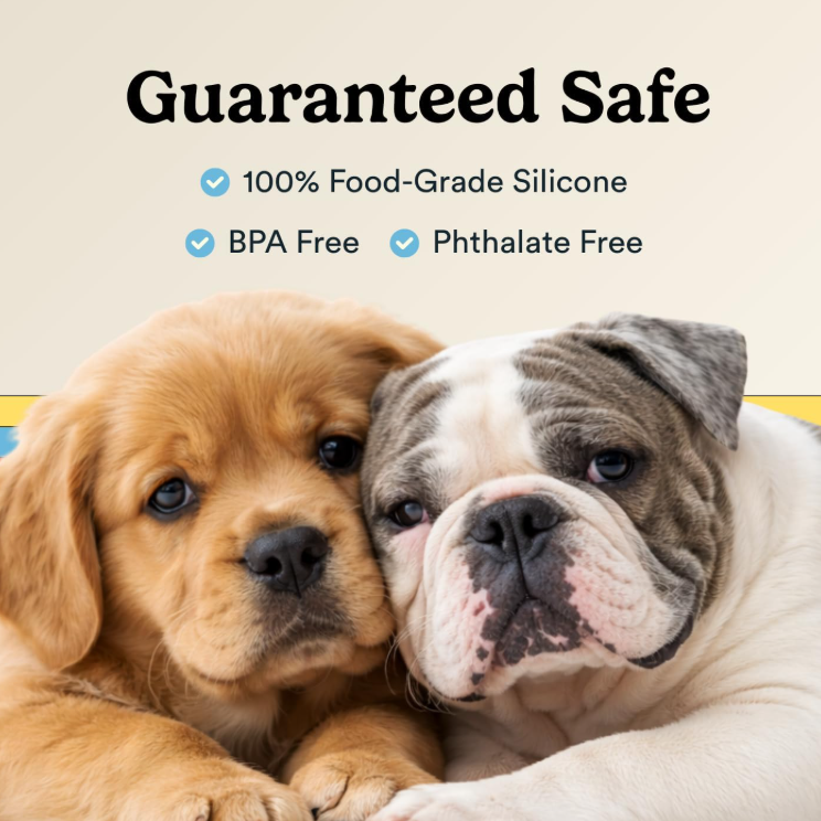 Tiny Brush, Big Difference For Your Pet’s Oral Health
