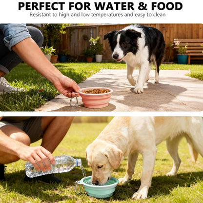 Multifunctional portable pet folding bowl
