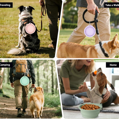 Multifunctional portable pet folding bowl