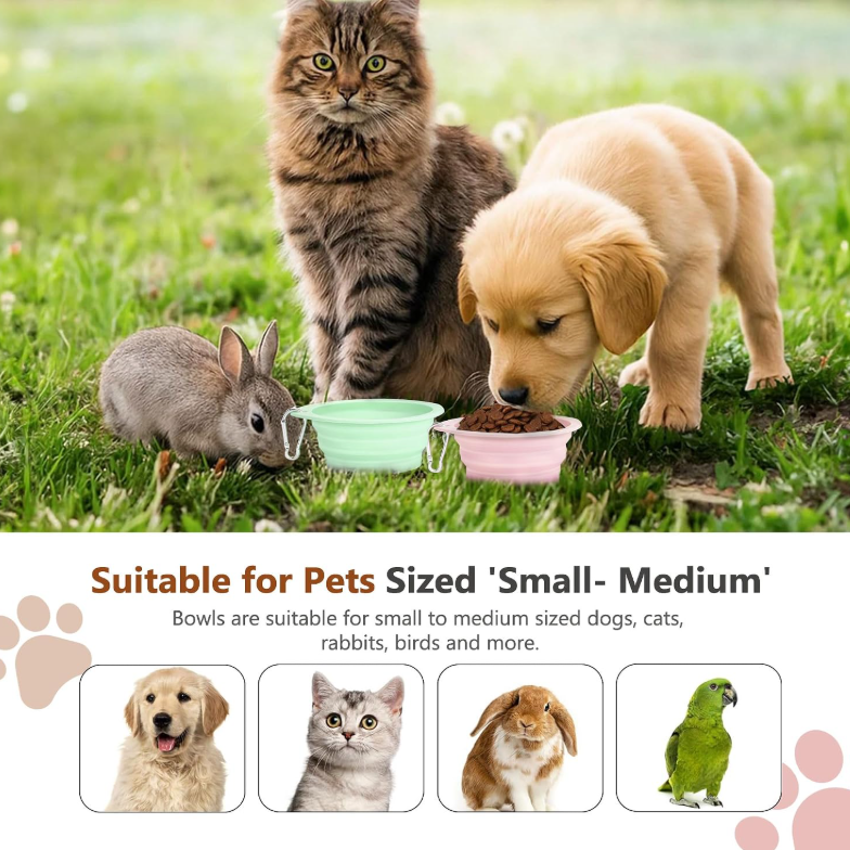 Multifunctional portable pet folding bowl