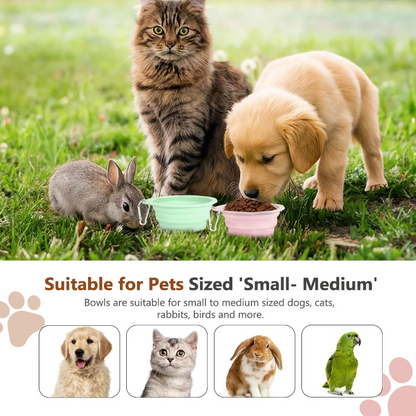 Multifunctional portable pet folding bowl
