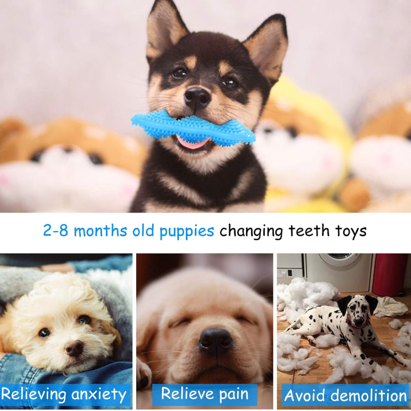 360° Dental Care For Happy, Healthy Puppies