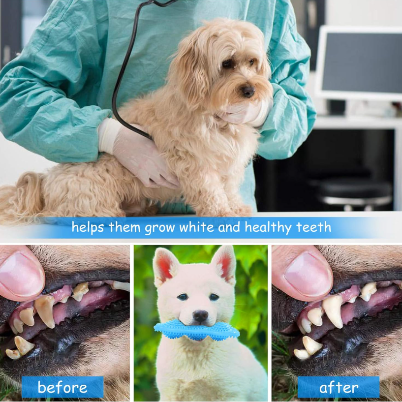 360° Dental Care For Happy, Healthy Puppies