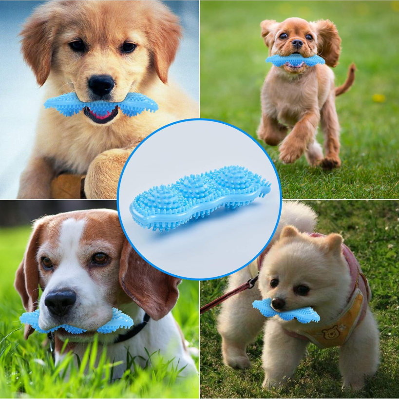 360° Dental Care For Happy, Healthy Puppies