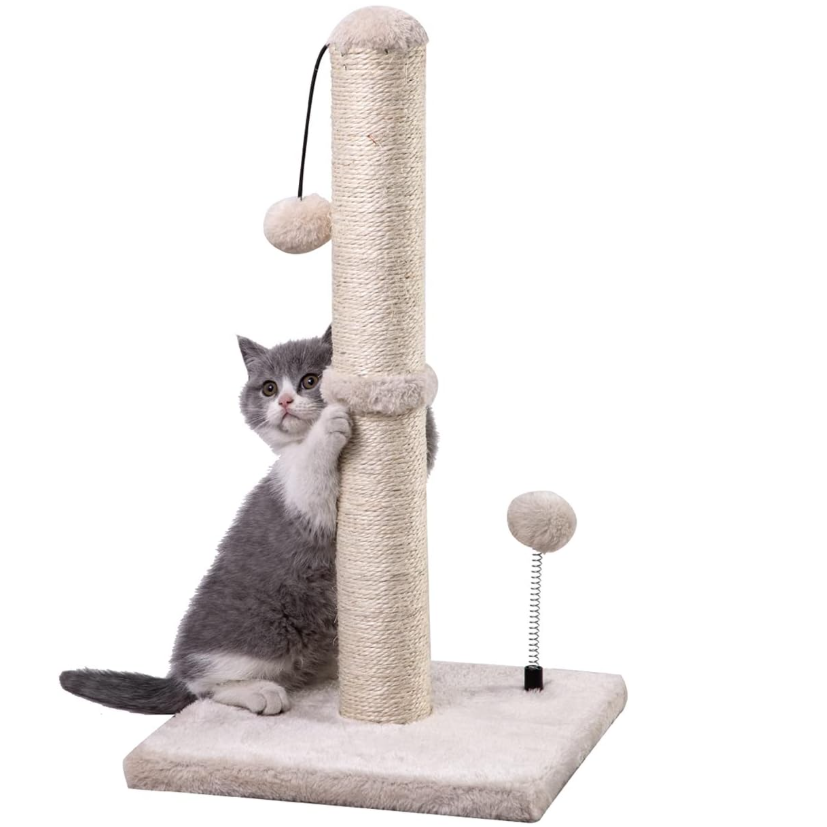 Protect Your Furniture, Satisfy Your Cat’s Natural Instincts